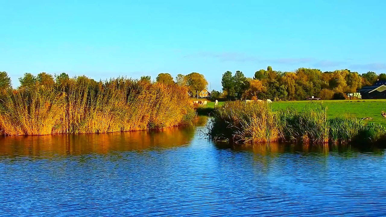 Âm nhạc thư giãn trị liệu với cảnh đẹp nhân gian - Hương sắc đồng nội chữa lành mọi cảm xúc