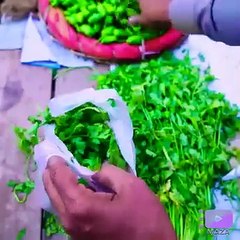 Best entertaining videos poetry clips ghazal