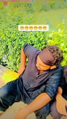 2024-08-29-222316282