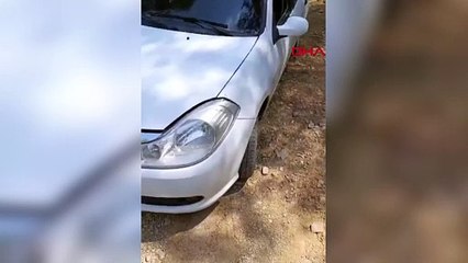 Polisten kaçtı, otomobilden çalıntı dana çıktı