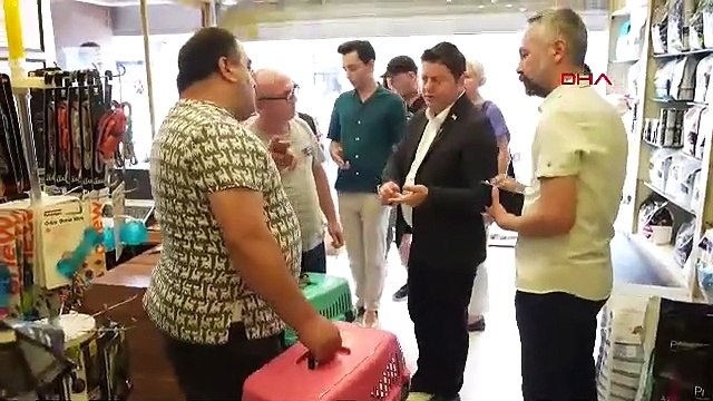 İstanbul'da sokak hayvanı katliamı: 25 kedi ve köpek öldürüldü