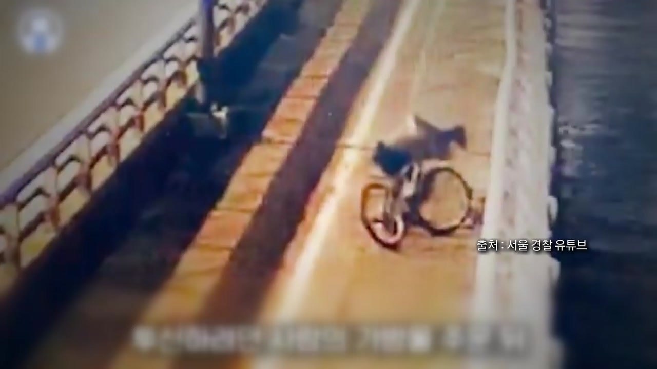 [나우쇼츠] "이 상황에 훔쳐?"...투신 시도자 가방 훔쳐 달아난 절도범 / YTN