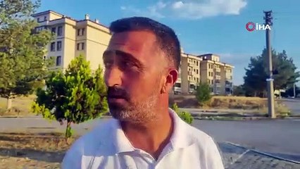 Sivas'ta aç kalan kurt şehir merkezinde görüntülendi