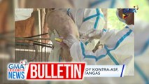 Pagbabakuna sa mga baboy kontra-ASF, sinimulan na sa Lobo, Batangas | GMA Integrated News Bulletin