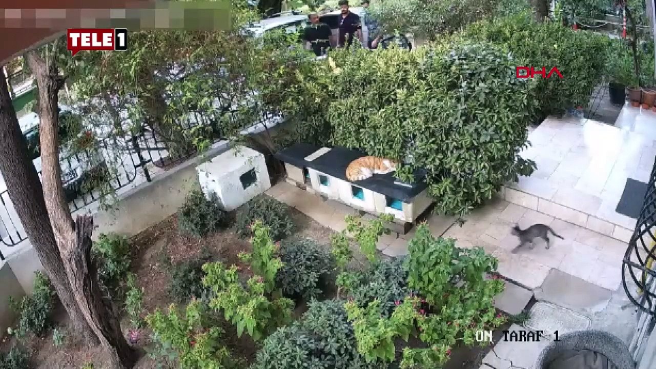 Büyük vicdansızlık! Engelli vatandaşın akülü sandalyesini çaldılar