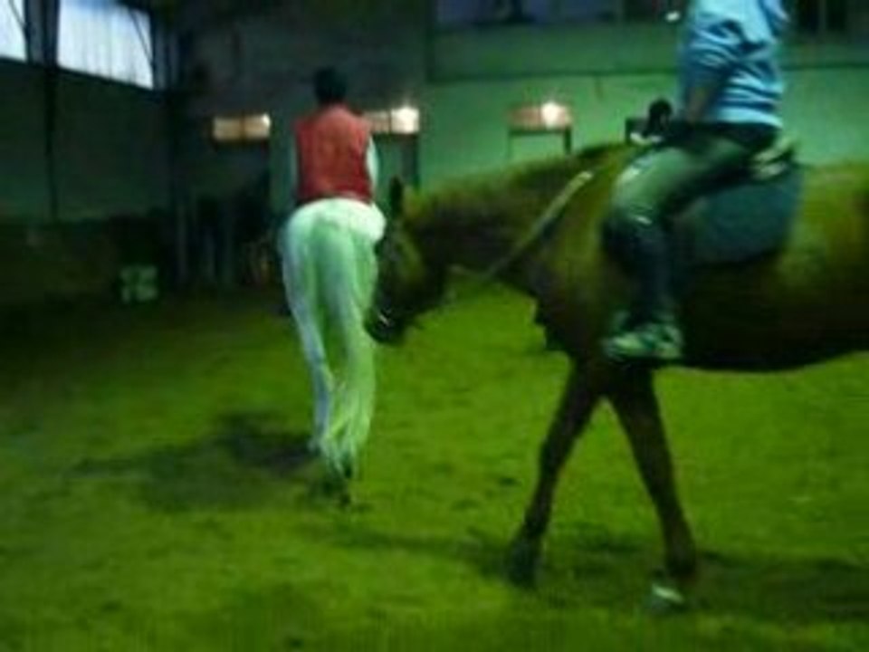 moi et major galop