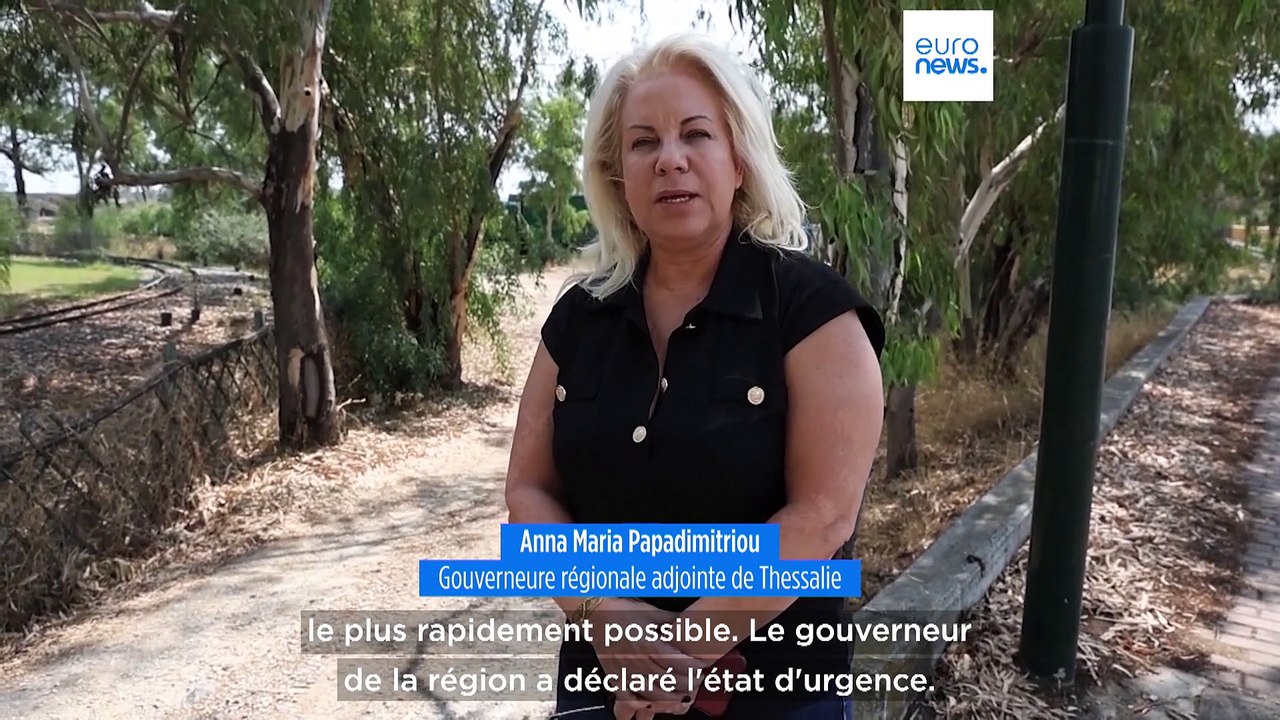 Grèce : des milliers de poissons morts se déversent près du port de Vólos