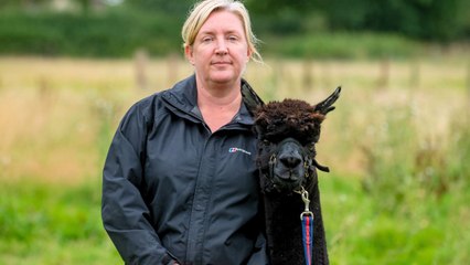 Owner of alpaca Geronimo 'executed' by Defra demands justice from Keir Starmer