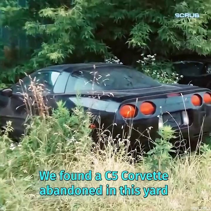 Corvette | Abandoned Car | Restoration | 12 years old | Old Car