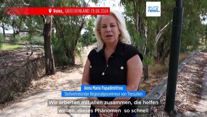 Ausnahmezustand in Griechenland: Tausende tote Fische im Hafen von Volos