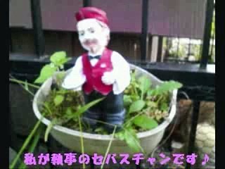 Mr.Childrenオルゴール集①