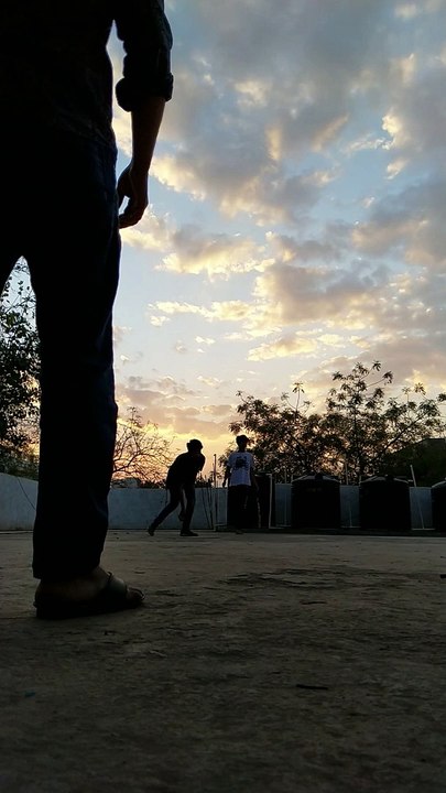Cricket video