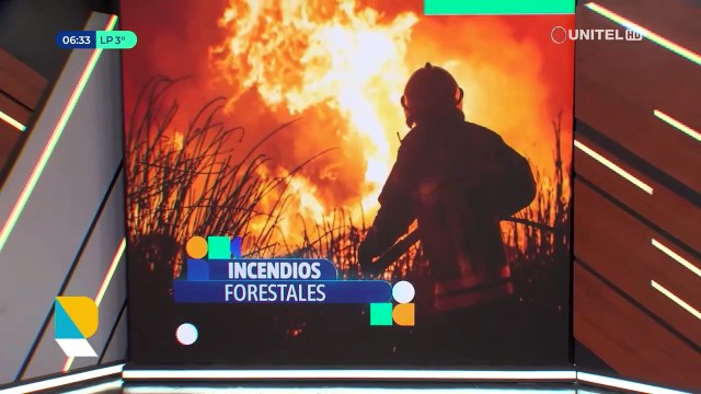 Incendio forestal en Colomi consumió varias hectáreas de árboles y especies nativas