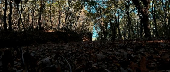 Uğur Işılak - Bozdum Dünyayla Arayı