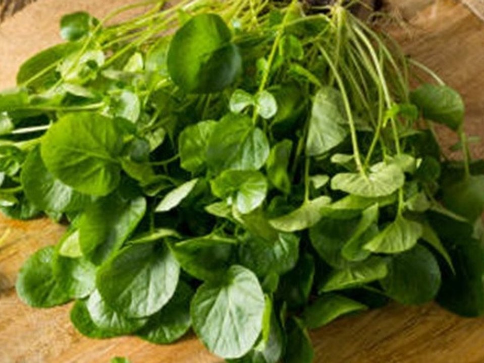 Schon gewusst? Das ist das gesündeste Lebensmittel der Welt