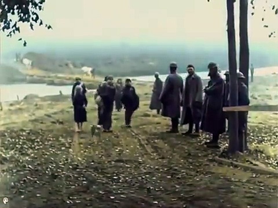 (1918) Primera Guerra Mundial. 11 de noviembre, Día del Armisticio.