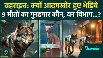 Bahraich: आदमखोर क्यों हुए भेड़िये, 9 जानें गईं वन विभाग पर सवाल | Wolf Attack in UP |वनइंडिया हिंदी