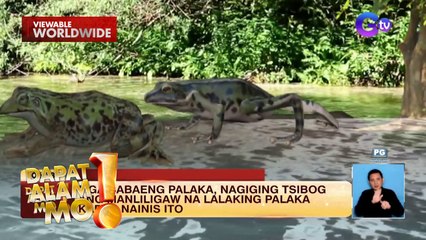Mga babaeng palaka, nagiging tsibog ang mga basted na lalaking palaka?! | Dapat Alam Mo!