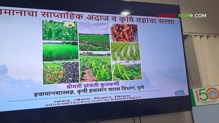 पुढील ५ दिवसांत राज्यात इथे पडणार पाऊस-