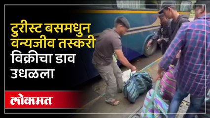 वन्यजीव रक्षकांच्या छापेमारीत तीन दुर्मिळ पक्षांसह ३० पोपट,आणि कबुतरांची मुक्तता