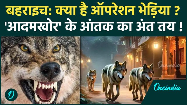 Bahraich: आदमखोर भेड़ियों का कहर Operation Bhediya क्या है?| Wolf Attack in UP | UP News | वनइंडिया