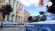 Latina: polizia scopre un triste abbandono in pieno centro città