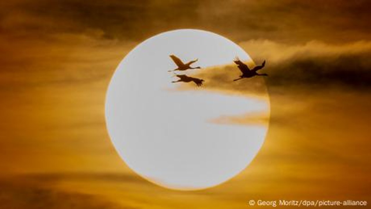 Wie funktioniert unsere Sonne?