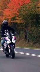 Epic Sport Bike Drifts! #1 #Shorts #Viral #SportBike #MotoMadness #StuntRiding #TwoWheels