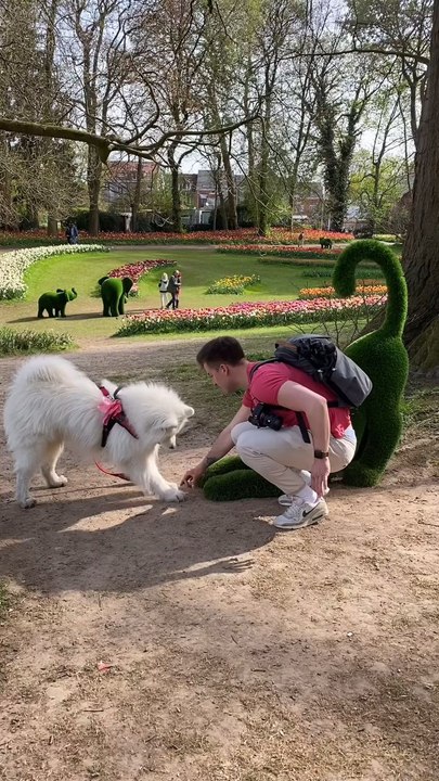 "The Dog Have Fun Follow For More Videos Thats Like It"....!!