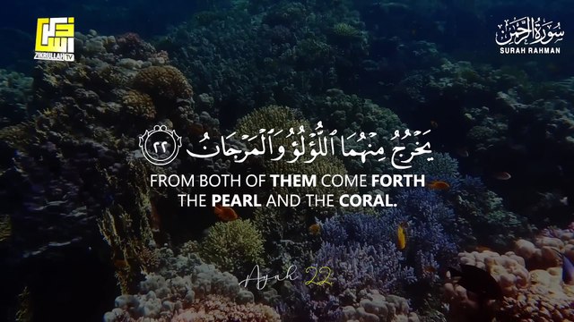 World's most beautiful recitation of Surah Ar-Rahman (سورة الرحمن) | quran recitation