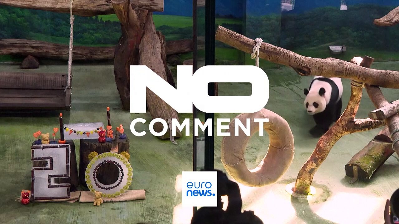 Taiwans ältester Panda feiert Geburtstag