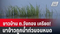 ชาวบ้าน ต.วังทอง เครียด! นาข้าวถูกน้ำท่วมจนหมด | เข้มข่าวค่ำ | 30 ส.ค. 67