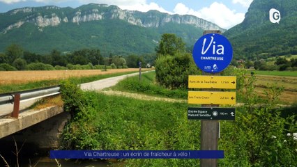Reportage - Via Chartreuse : un écrin de fraîcheur à vélo !