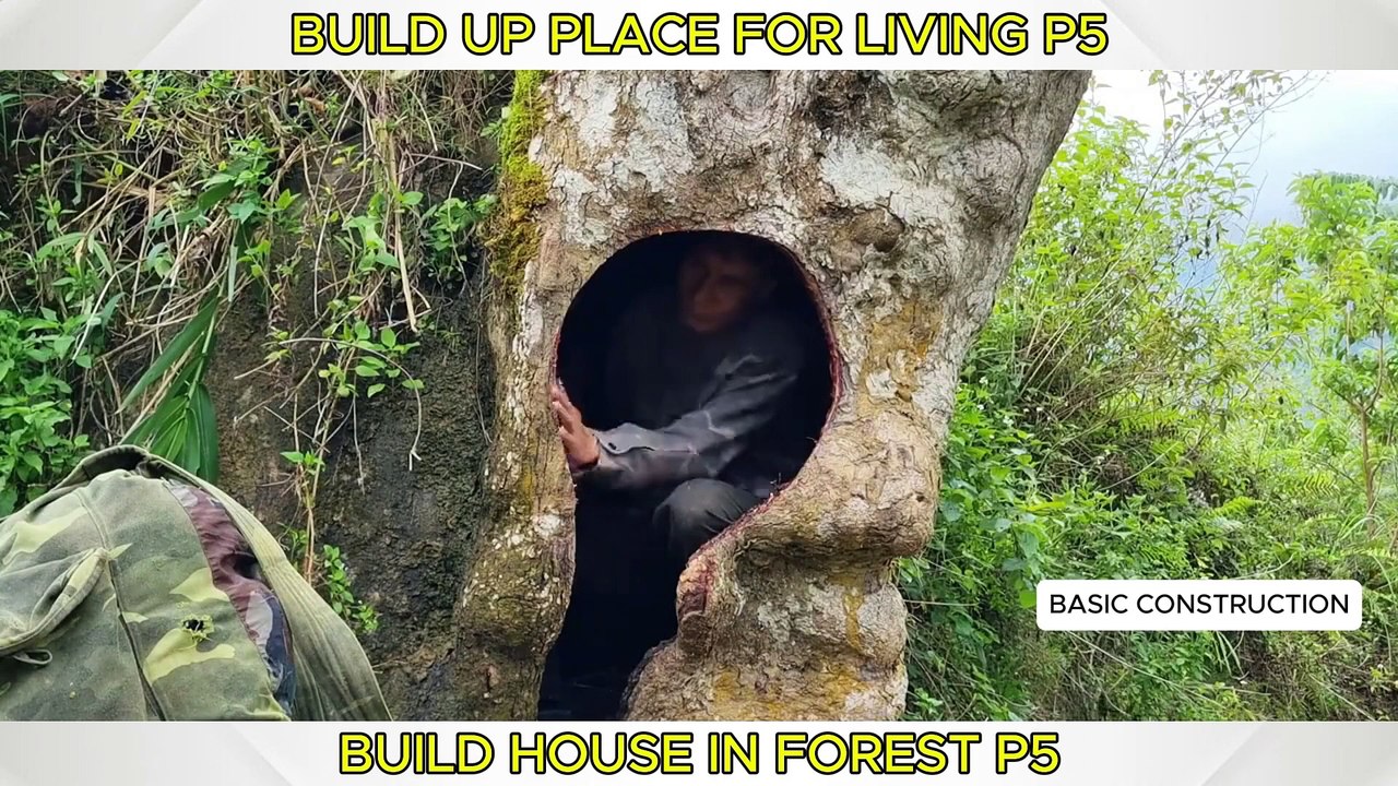 House In Forest 5 | Hollow tree by river bank was turned into a living space |  Camping Amazing