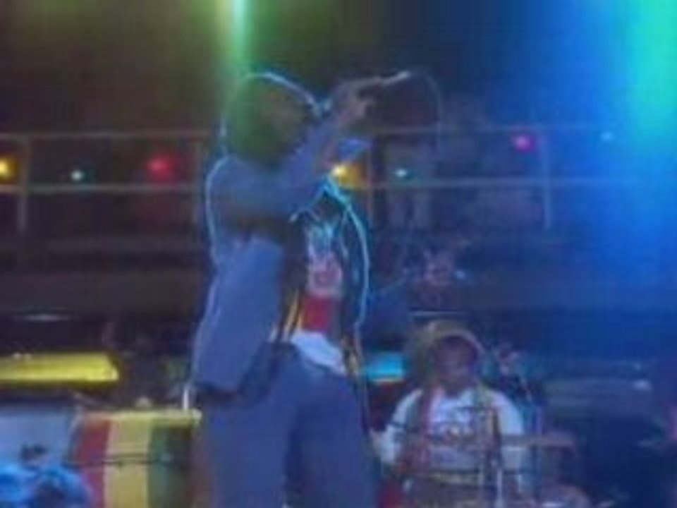 Bunny Wailer - "Roots, Radics, Rockers and Reggae"