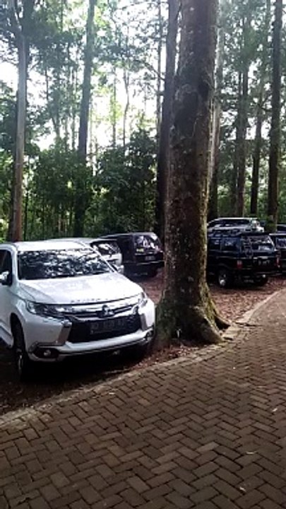 Suasana Keramaian Pengunjung di Wana Wisata Mojosemi Forest Park