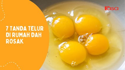 7 Tanda Telur Di Rumah Dah Rosak