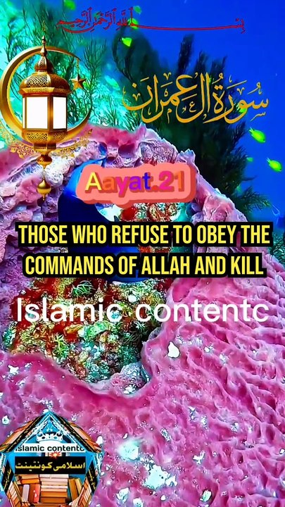 @Quran urdu English#short aale Imran!! Part.8!!