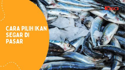 Cara Pilih Ikan Segar Di Pasar