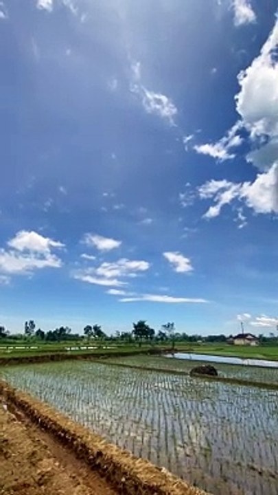 pemadangan desa