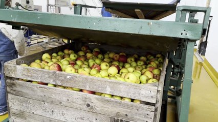 Anna McGuinness - Discover NI's Little Star Adventure Ambassador