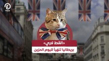 «القط لاري» .. بريطانيا تتهيأ لليوم الحزين