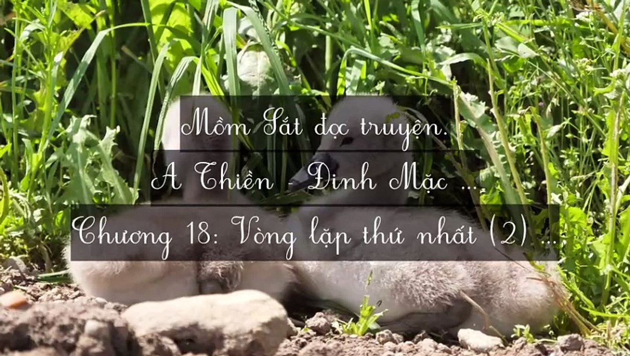 C15-C27 A Thiền - Đinh Mặc