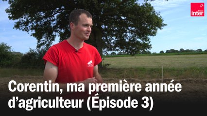 Corentin, ma première année d'agriculteur - Épisode 3 : l'été