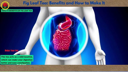 Shocking Things About Fig Leaf Tea: Benefits and How to Make It.