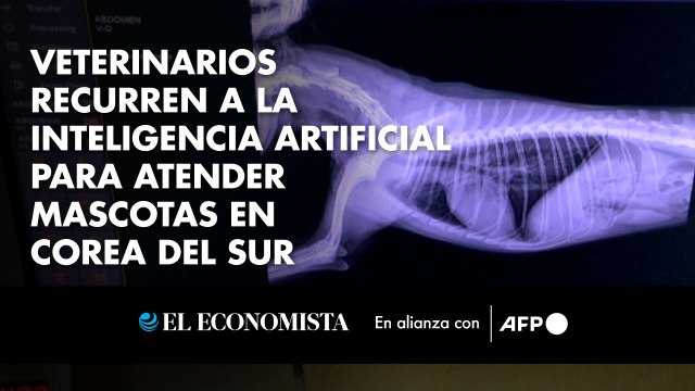 Veterinarios recurren a la inteligencia artificial para atender mascotas en Corea del Sur