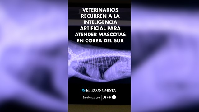 Veterinarios recurren a la inteligencia artificial para atender mascotas en Corea del Sur