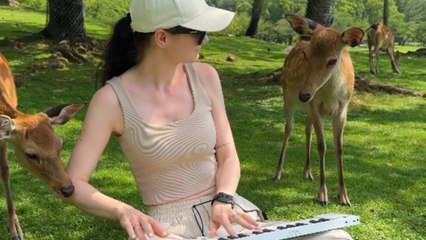Girl's piano performance in the forest keeps the deer from walking away