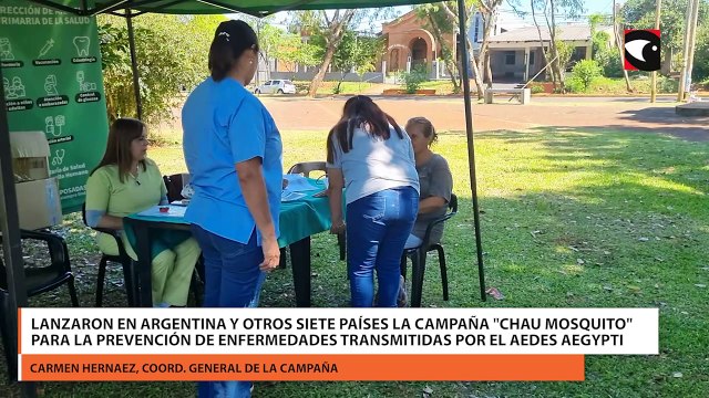 Lanzaron en Argentina y otros siete países la campaña chau mosquito para la prevención de enfermedades transmitidas por el Aedes aegypti