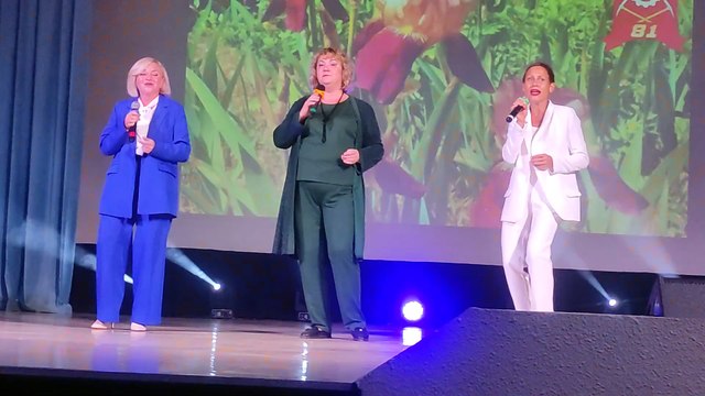 Михаил Боярский - Городские цветы cover